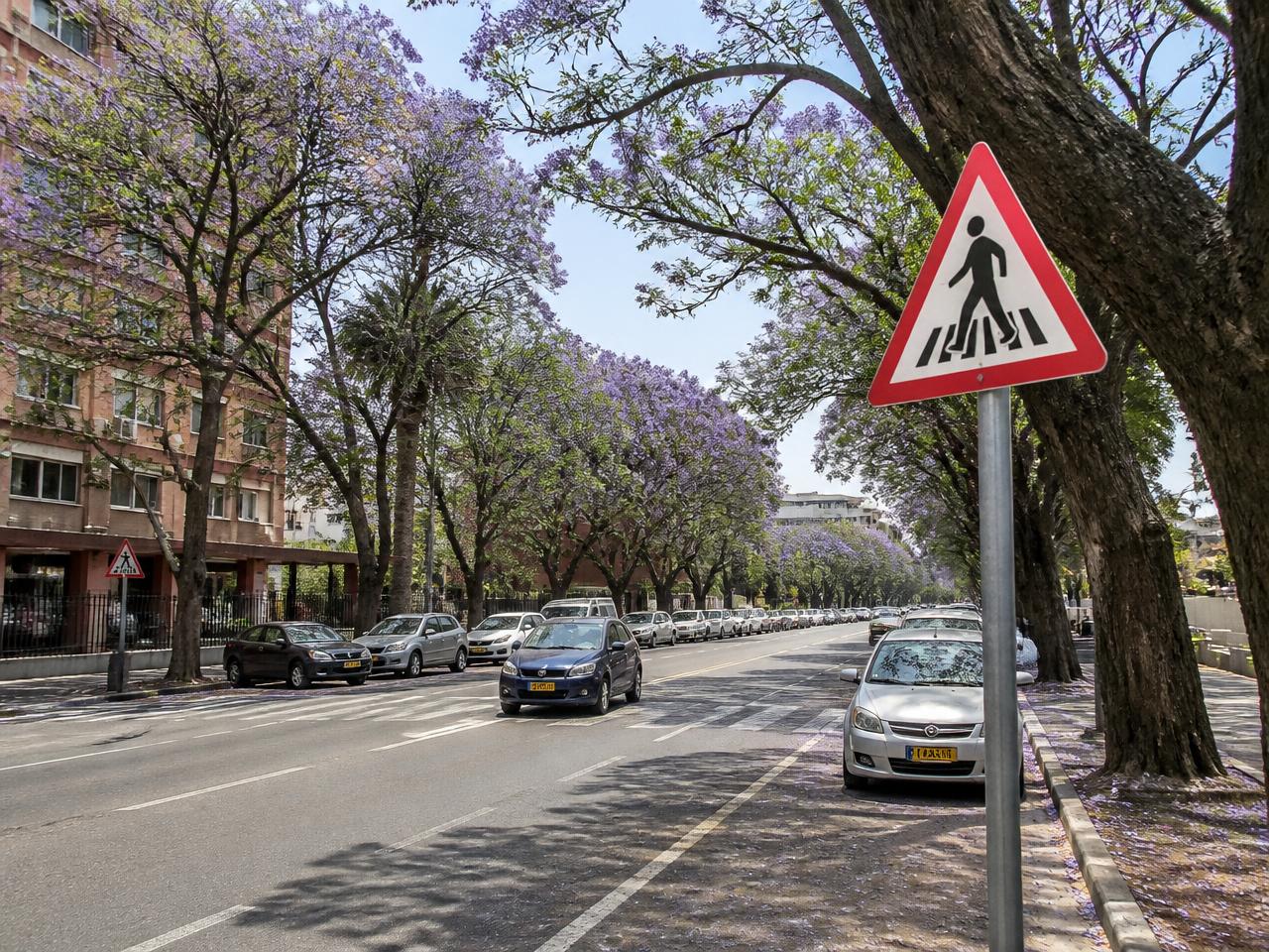 Tree-lined Zimbabwean city avenue with a red-and-white triangular pedestrian crossing warning sign beside the road.